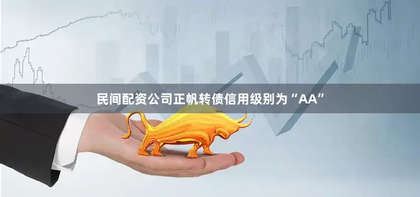 民间配资公司正帆转债信用级别为“AA”