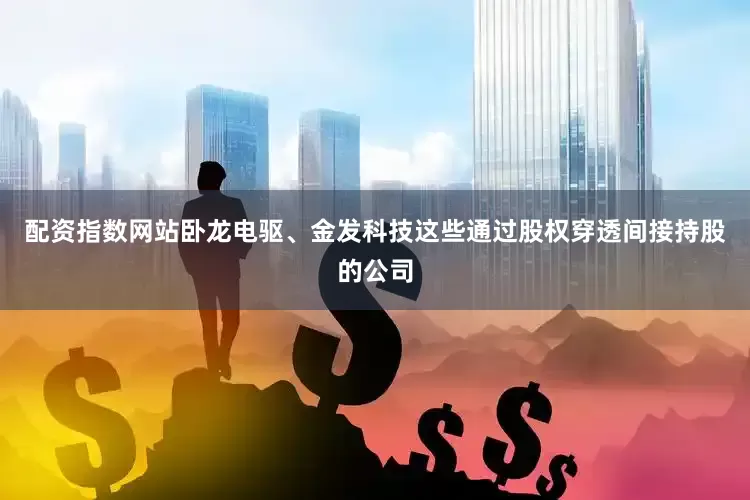 配资指数网站卧龙电驱、金发科技这些通过股权穿透间接持股的公司